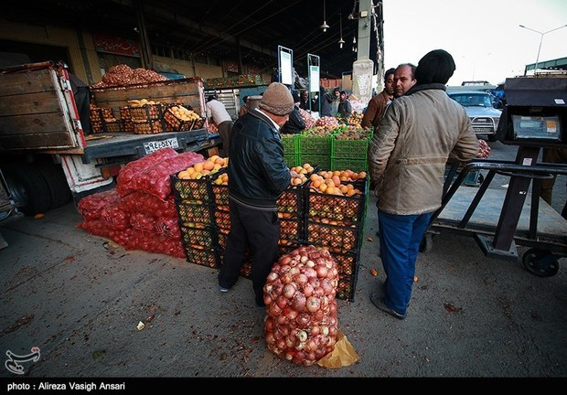 ۲۵۰ تن میوه در سردخانه‌های خراسان جنوبی ذخیره داریم