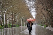 بیشترین میزان بارندگی کهگیلویه و بویراحمد در لوداب ثبت شد
