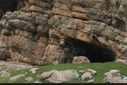 فسیل انسانی یافت شده در غار کلدر خرم آباد رونمایی می شود