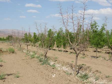 پنجمین صندوق حمایت از توسعه منابع طبیعی کشور در سمنان تشکیل شد