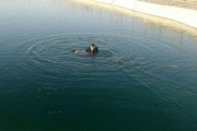 مردی جوان در هفت حوض مشهد غرق شد