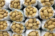 وزارت کشاورزی: میزان نیترات موجود در سیب‌زمینی مجاز است