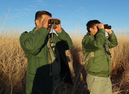 سرشماری زمستانی پرندگان آبزی در استان مرکزی آغاز شد