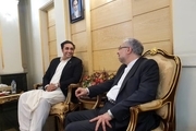 وزیر امور خارجه پاکستان وارد تهران شد