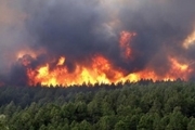 مهار آتش سوزی یک هکتار از  اراضی جنگلی آستارا