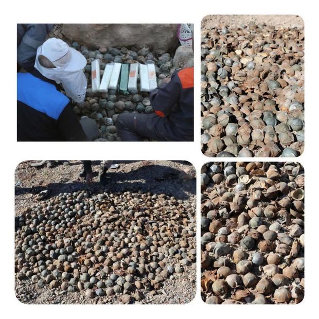 کشف و خنثی‌سازی هزاران قطعه مهمات دشمن در استان زنجان + عکس