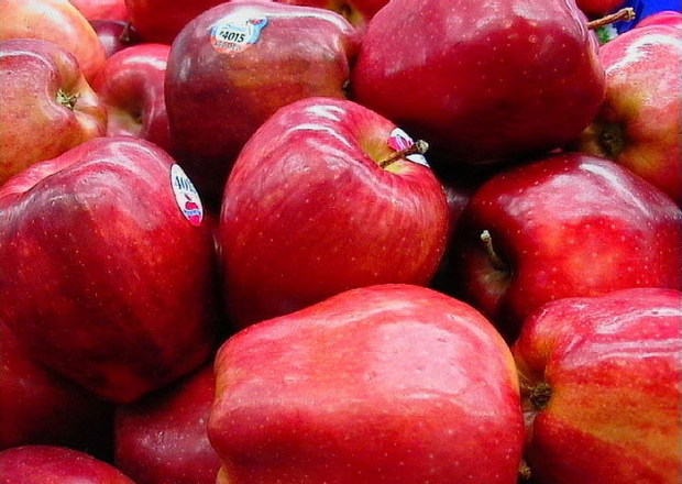 صادرات بیش از 30 هزار تن سیب آذربایجان غربی