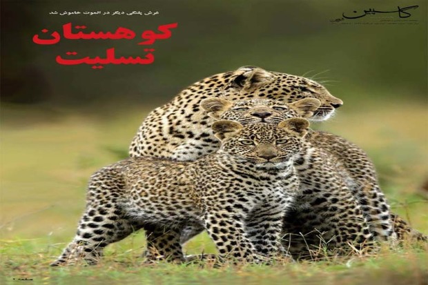 کوهستان تسلیت