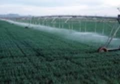 صرفه جویی 7 میلیون مترمکعبی آب در سال زراعی فعلی