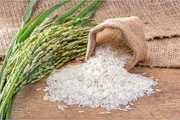 تاخیر در برداشت شکستی برنج را افزایش می دهد