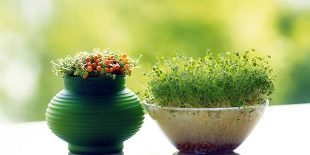 چطور می‌شود به خانه‌نشینی در نوروز، مثبت نگاه کرد؟
