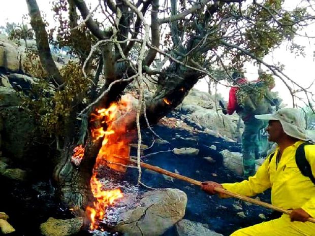 نبود بالگرد، مهار آتش در جنگل‌های اقلید را دشوار کرد