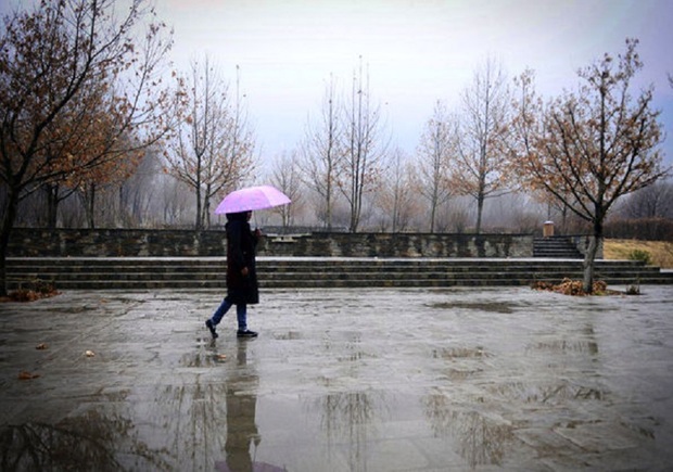 بارش باران در شیروان 61 درصد افزایش یافت