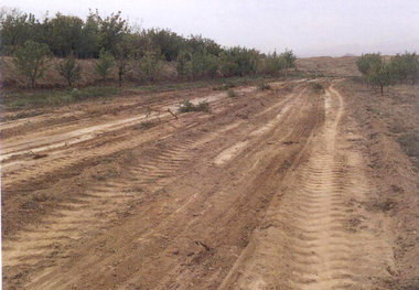 ۸۱ هکتار از اراضی ملی ورامین رفع تصرف شد