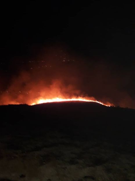 آتش سوزی جنگل های خجیر در پردیس مهار شد