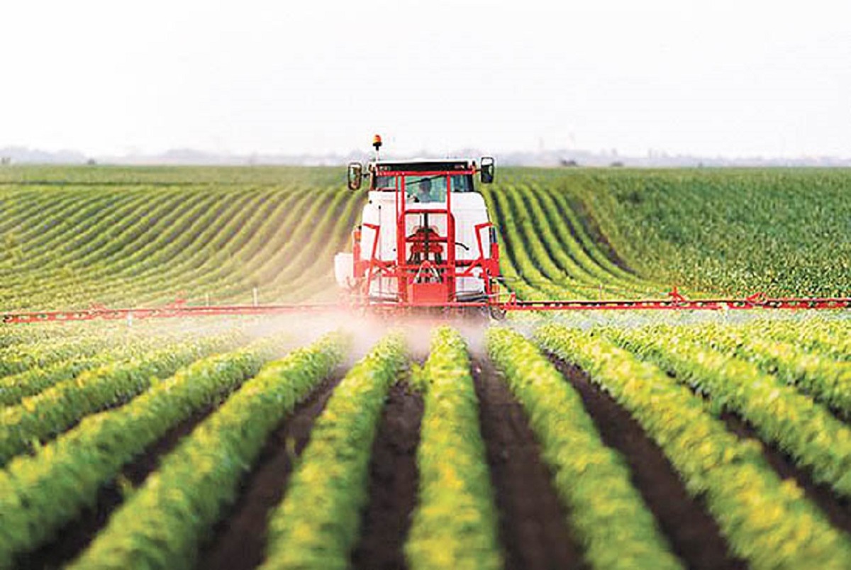 خبر مهم رئیسی برای کشاورزان در مورد تولید و خرید محصولات کشاورزی