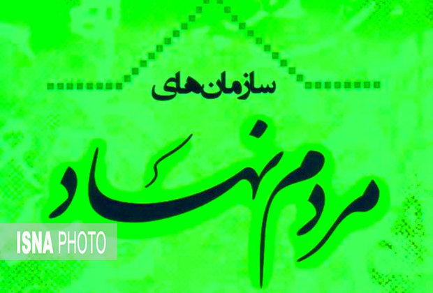 دولت دراستخدام نیروهای کار آمد دولتی از اعضای سمن ها استفاده کند
