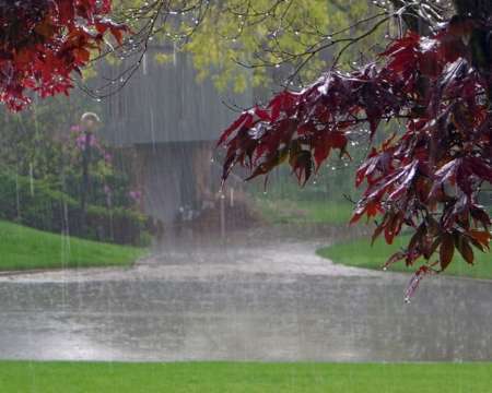 کارشناس هواشناسی: بارش متناوب باران در روز طبیعت در قم از نشستن نزدیک رودخانه ها خودداری شود