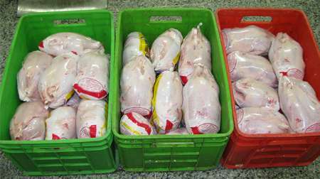 700 تن مرغ منجمد در سردخانه های استان قزوین ذخیره سازی شده است