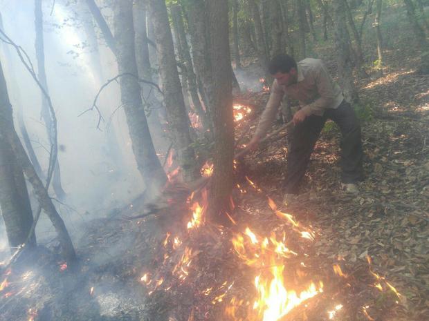 وقوع آتش سوزی در جنگل های چالوس