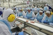 باج گیری هکرهای روسی از بزرگترین شرکت تولید گوشت جهان در آمریکا
