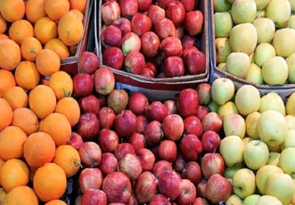 آغاز توزیع سیب و پرتقال با قیمت مصوب در کرج