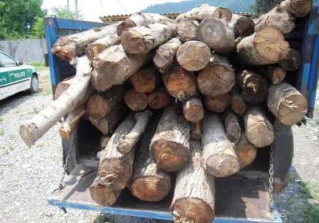 20 تن چوب قاچاق در ورامین کشف شد