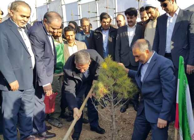 یک اصله نهال توسط استاندار همدان در بام ملایر کاشته شد