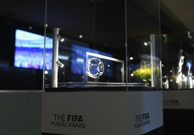 نامزدهای جایزه پوشکاش معرفی شدند
