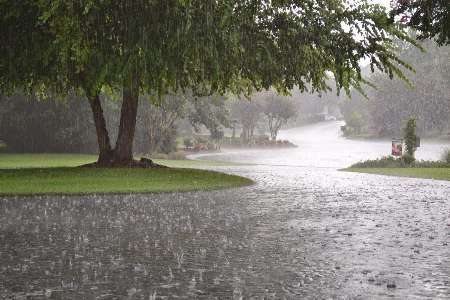 244 میلی متر، میانگین بارندگی ثبت شده در استان ایلام