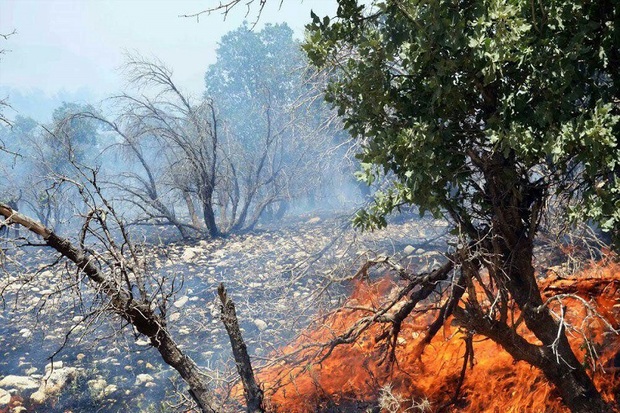 آتش سوزی در جنگل های بلوط اندیکا مهار شد