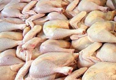 تولید گوشت مرغ در گالیکش با 400 تن افزایش به 2100  رسید