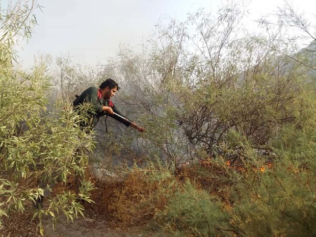 آتش سوزی تالاب منطقه حفاظت شده شیرین بهار اندیکا مهار شد