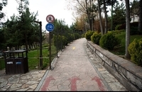 1399011318443484120039604