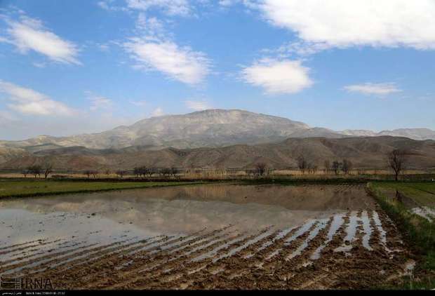 سیل، هزار میلیارد ریال به بخش کشاورزی خراسان شمالی خسارت زد