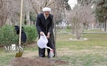 محسنی‌اژه‌ای، یک اصله نهال غرس کرد + عکس