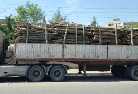 172 اصله چوب جنگلی قاچاق در آستارا کشف شد