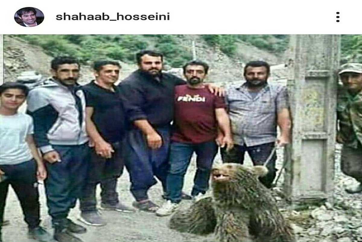 واکنش شهاب حسینی به کشتن شدن توله خرس در سوادکوه+ عکس