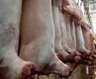 استحصال بیش از 48 هزار تن گوشت در کشتارگاه های استان مرکزی