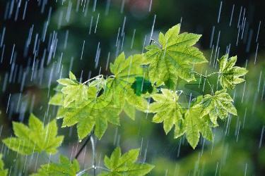 بارش باران استان کرمانشاه را در بر می گیرد