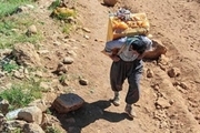 مرگ یک کولبر در ارتفاعات پیرانشهر بر اثر گرفتار شدن در بهمن