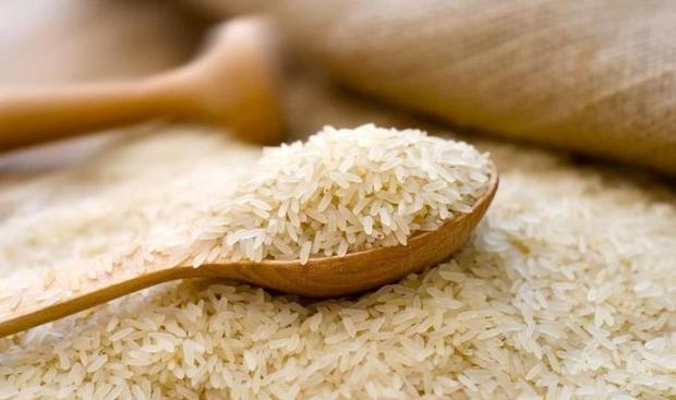 خرید توافقی برنج شالیکاران گیلان آغاز شد