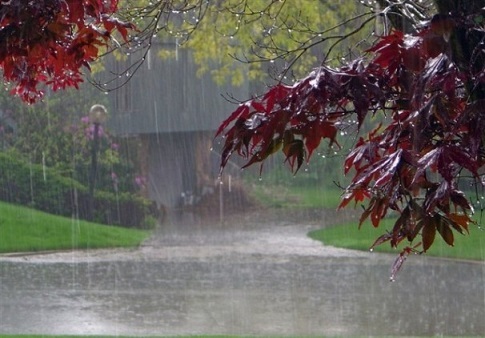 بارش پاییزی در 9 شهرستان خراسان رضوی  باران هوای مشهد را شست