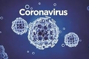 رفتارهای غلط در مواجهه با ویروس کرونا