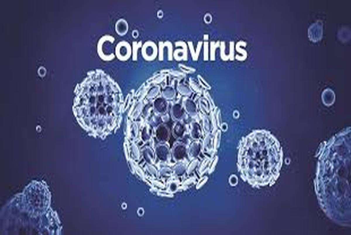 ۲ نوع ویروس کرونا در جهان منتشر شده است/ نوع ملایمتر در راه است