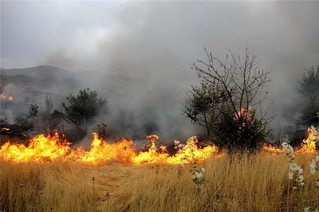 19 فقره آتش سوزی سال گذشته در عرصه های طبیعی سمنان رخ داد