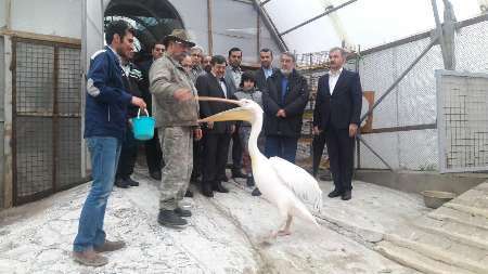 وزیر کشور از دهکده طبیعت قزوین بازدید کرد