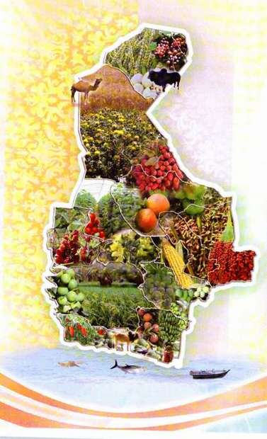 کشاورزی ایرانشهر ظرفیت خوبی برای ایجاد اشتغال در منطقه است