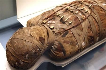 ماهانه 10جسد در ایران مومیایی می شود