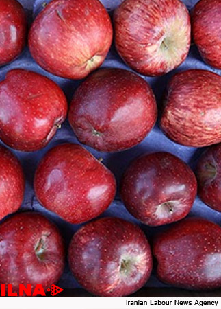 صادرات سیب ایران به کشورهای اروپایی با برند کشور لبنان صورت می‌گیرد